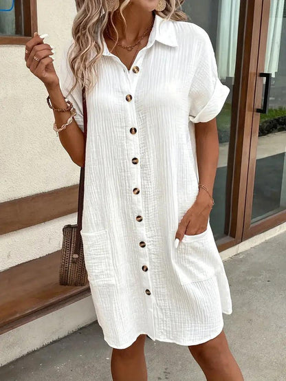 Araminta | Timeless V-Neck Blouse Dress