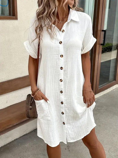 Araminta | Timeless V-Neck Blouse Dress